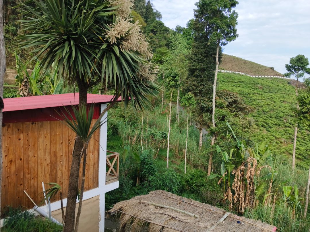 Lumanti Farms Homestay - Traveller Photo
