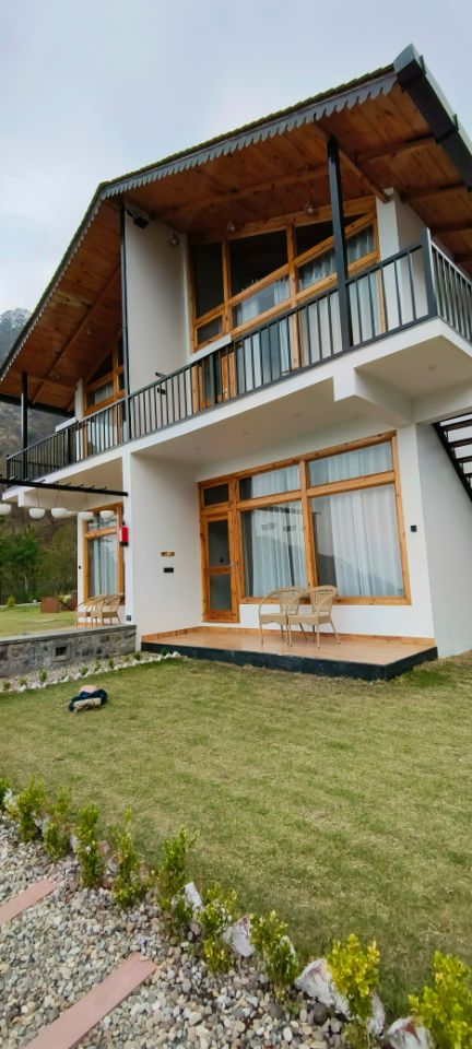 Silverfern by the hill side - Traveller Photo