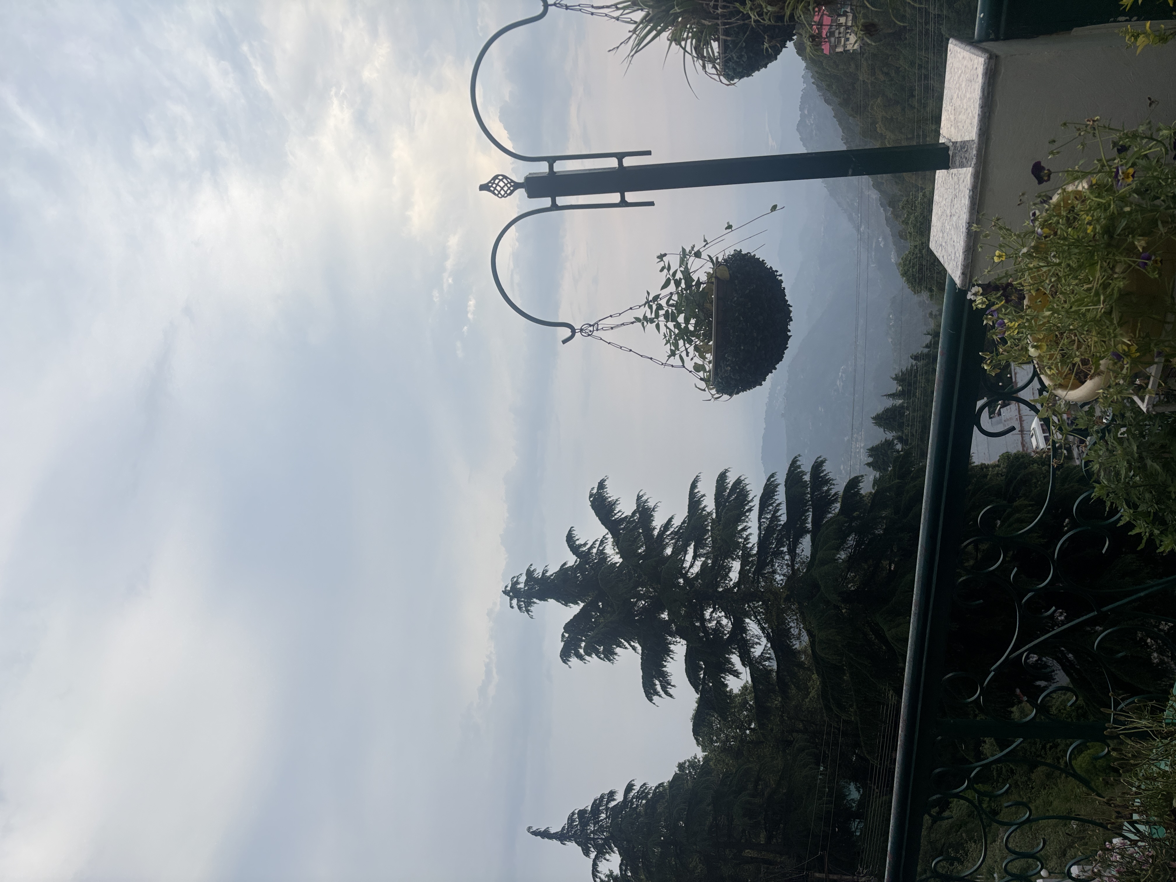 user photos