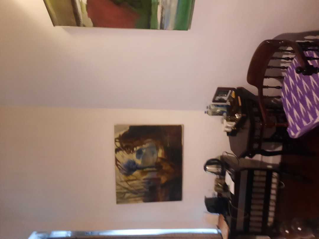 user photos