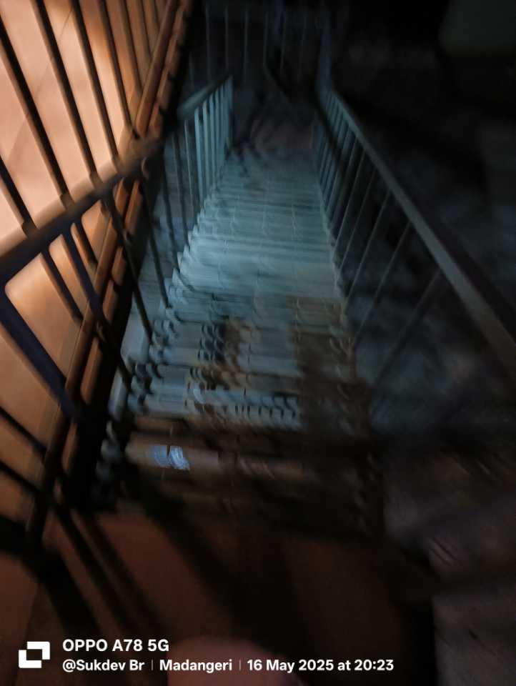 user photos