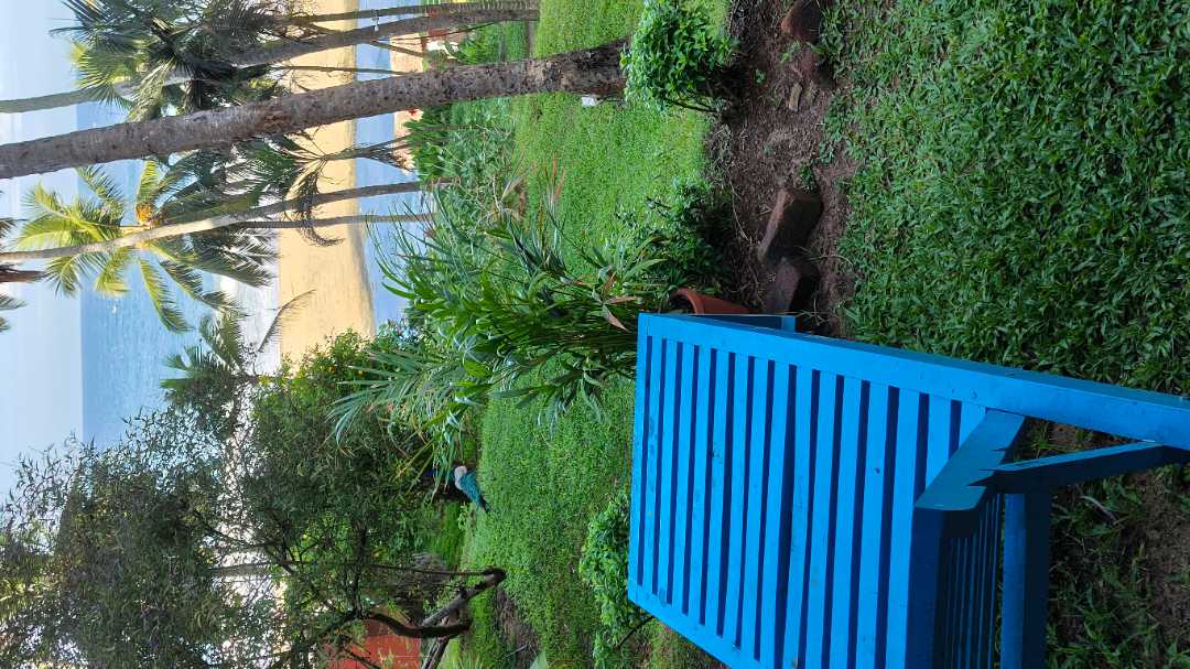 user photos