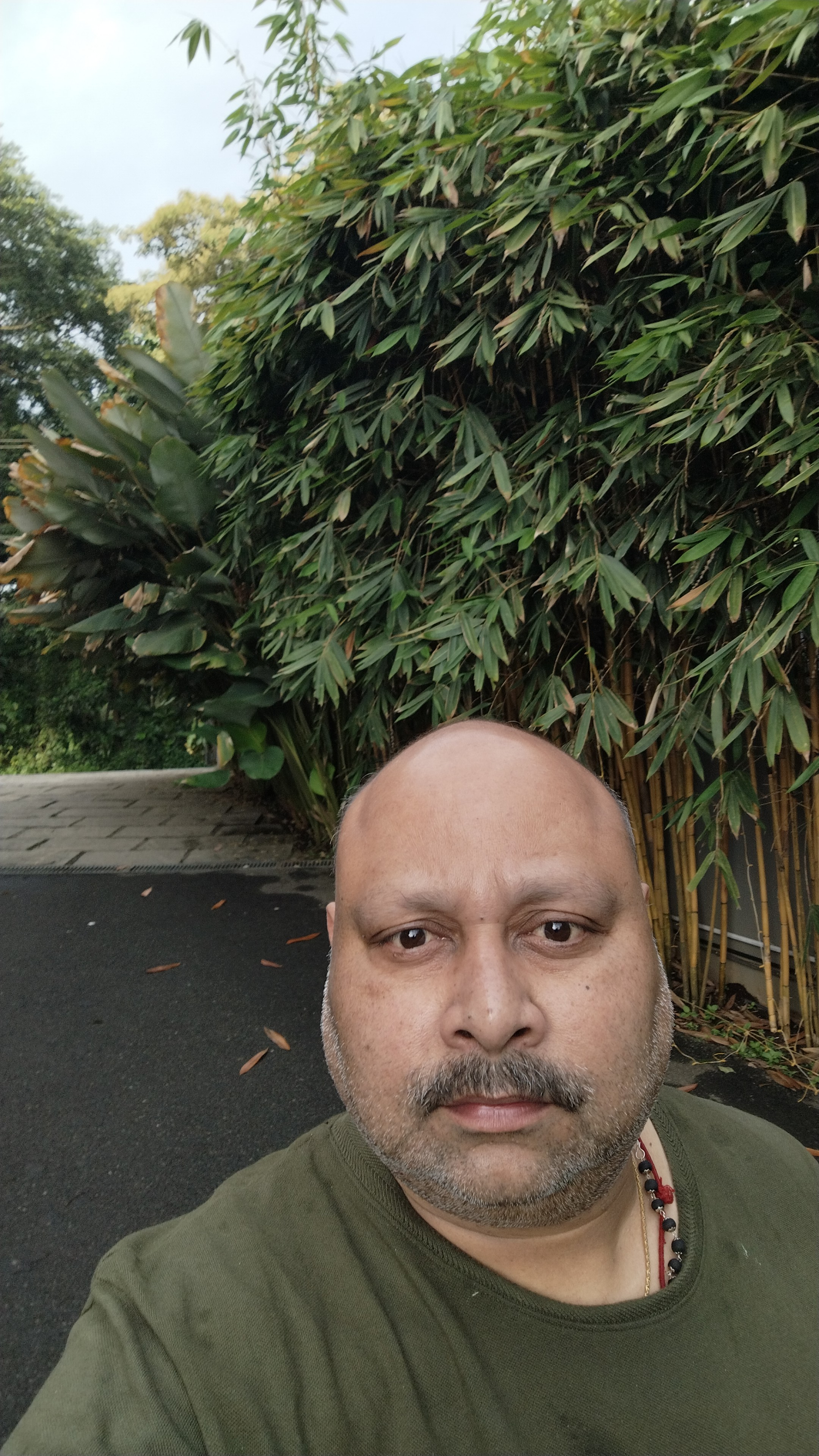 user photos