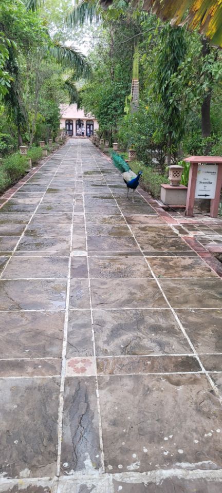 Club Mahindra Bharatpur - Traveller Photo