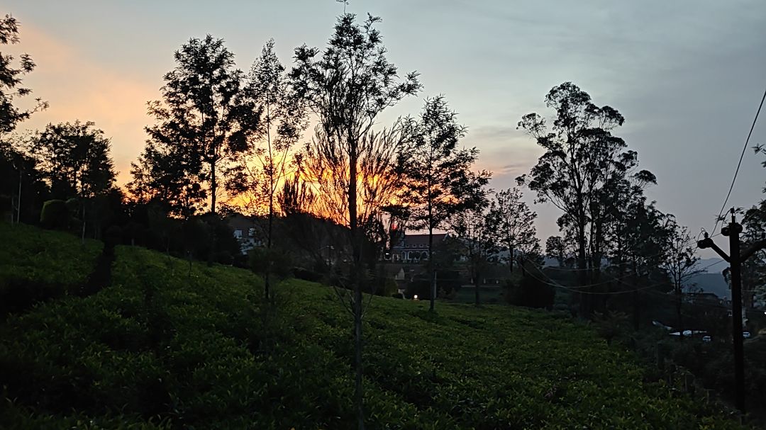 Trilan Cottages - Tea Estate - Kannerimukku - Traveller Photo