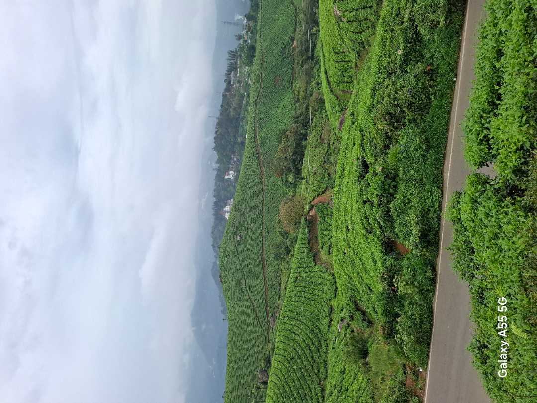user photos