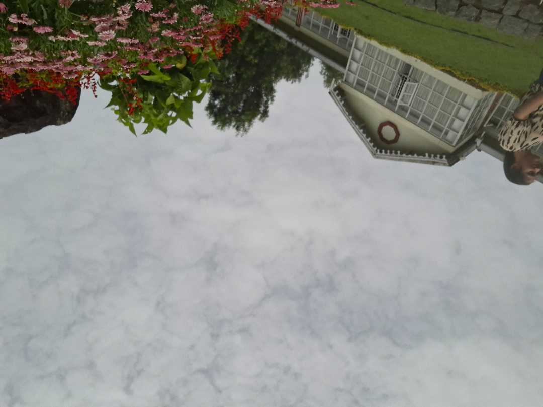 user photos