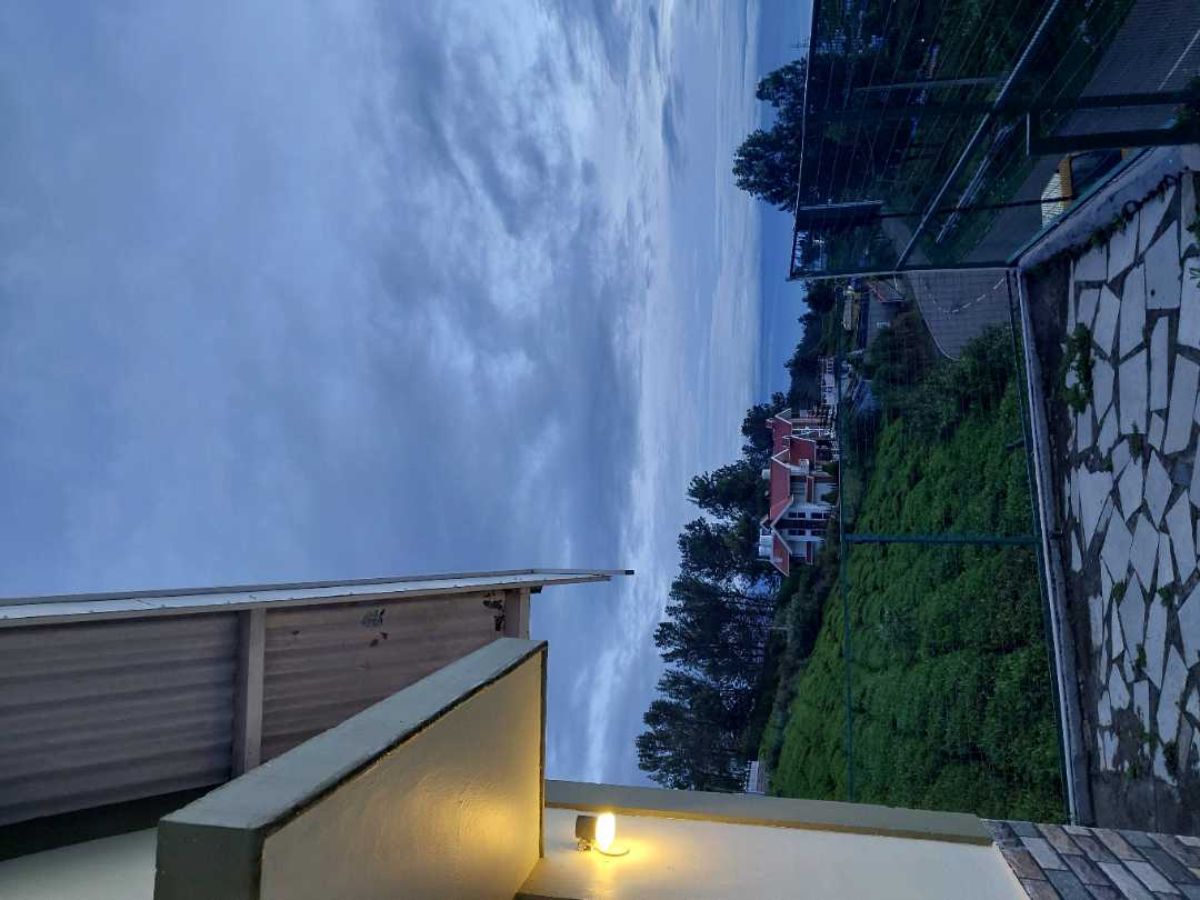 user photos
