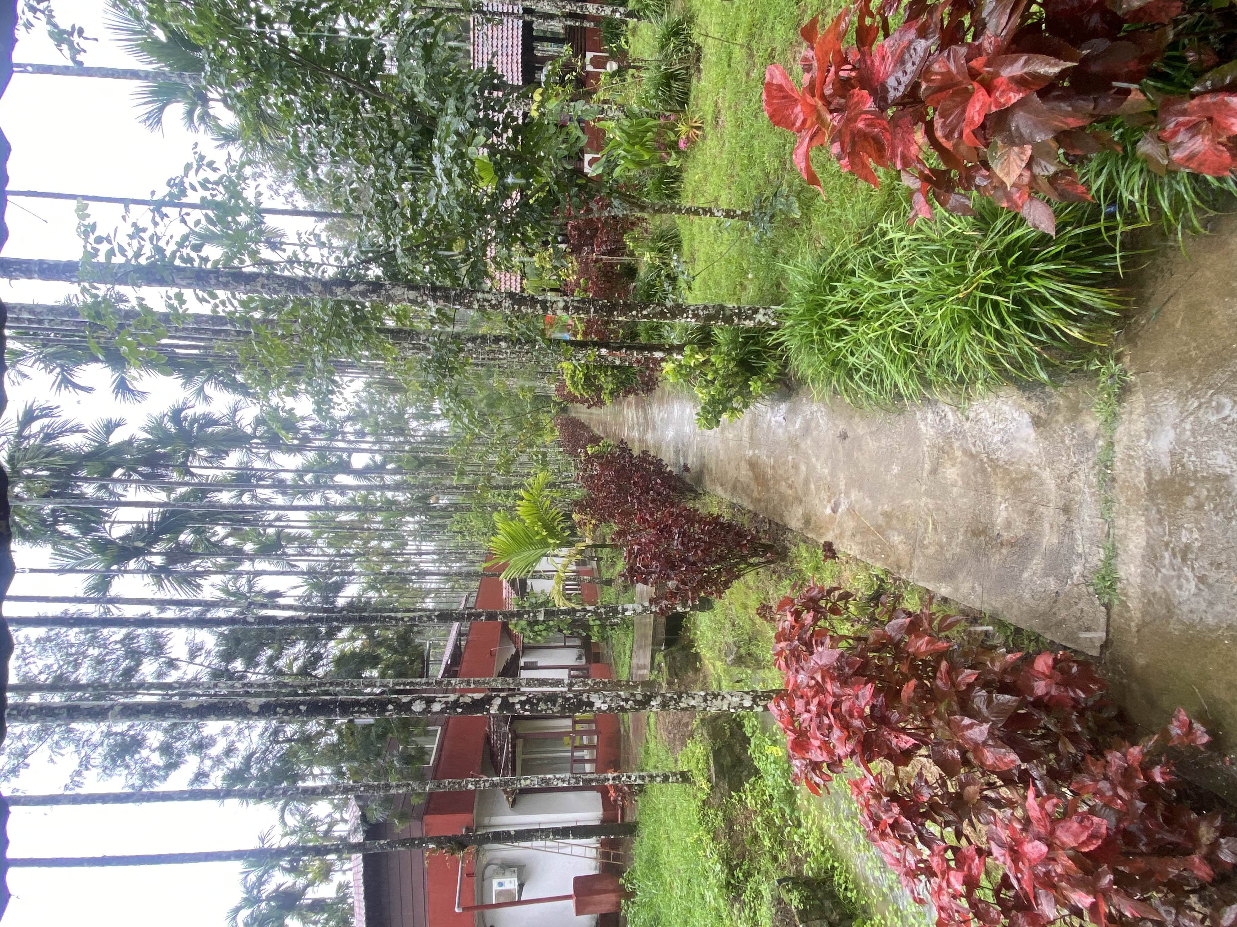 user photos