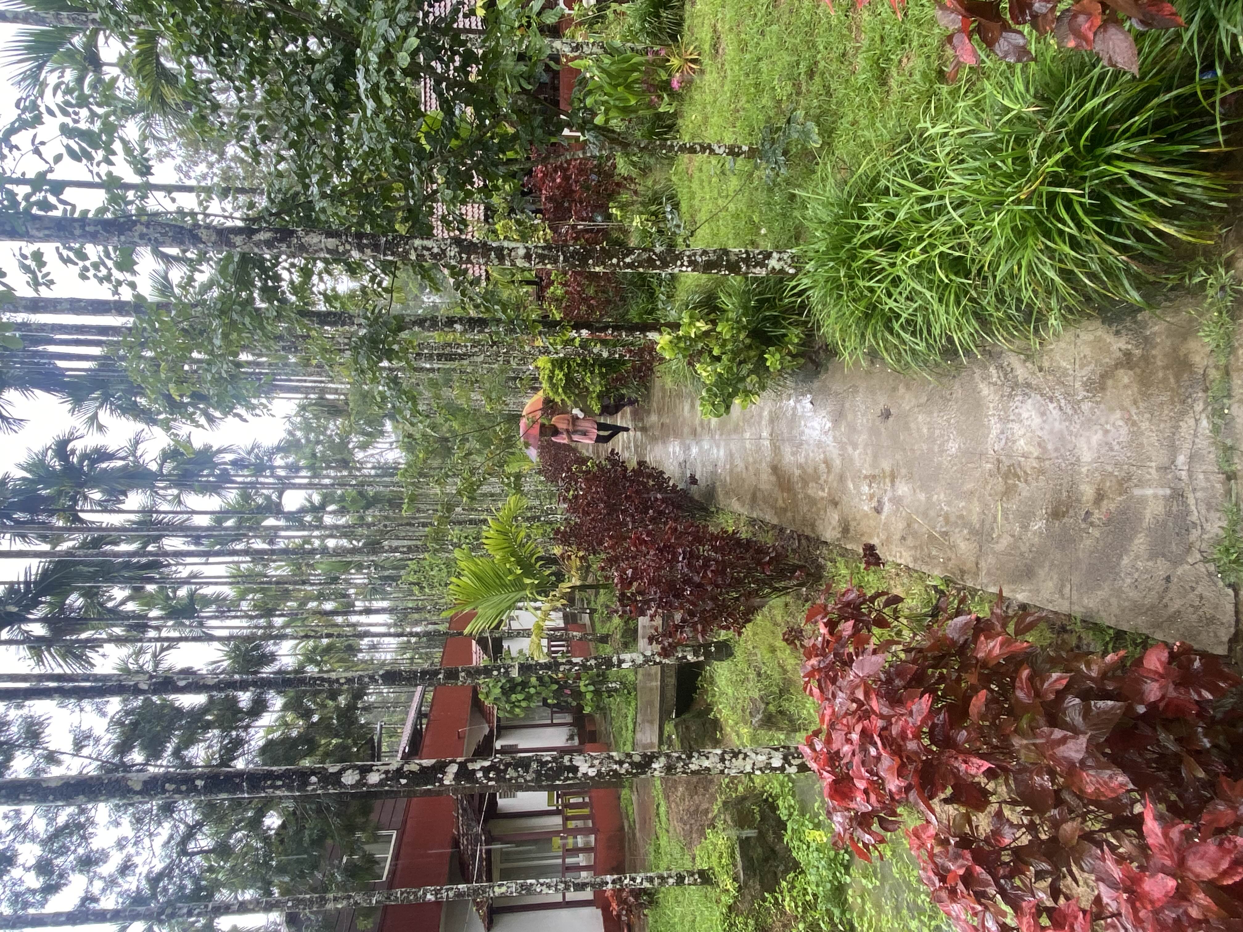 user photos