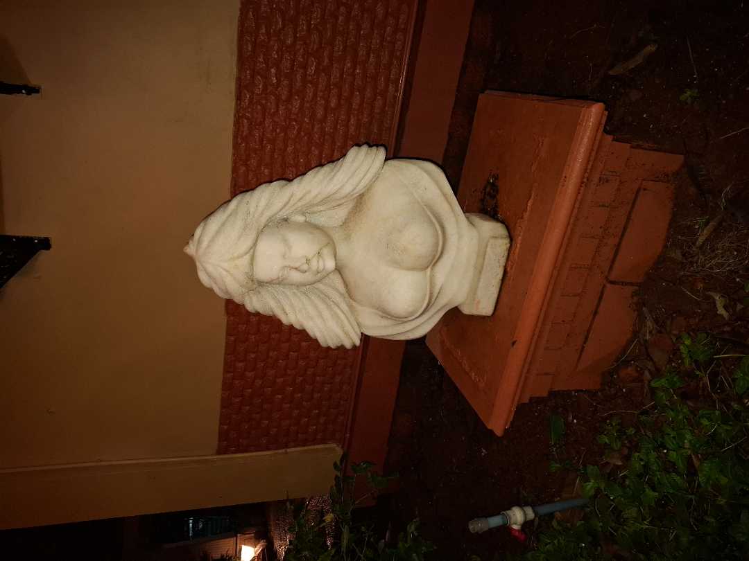 user photos