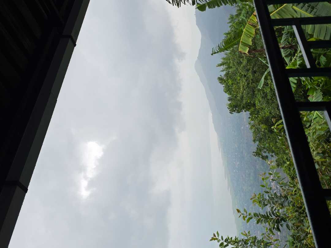 user photos