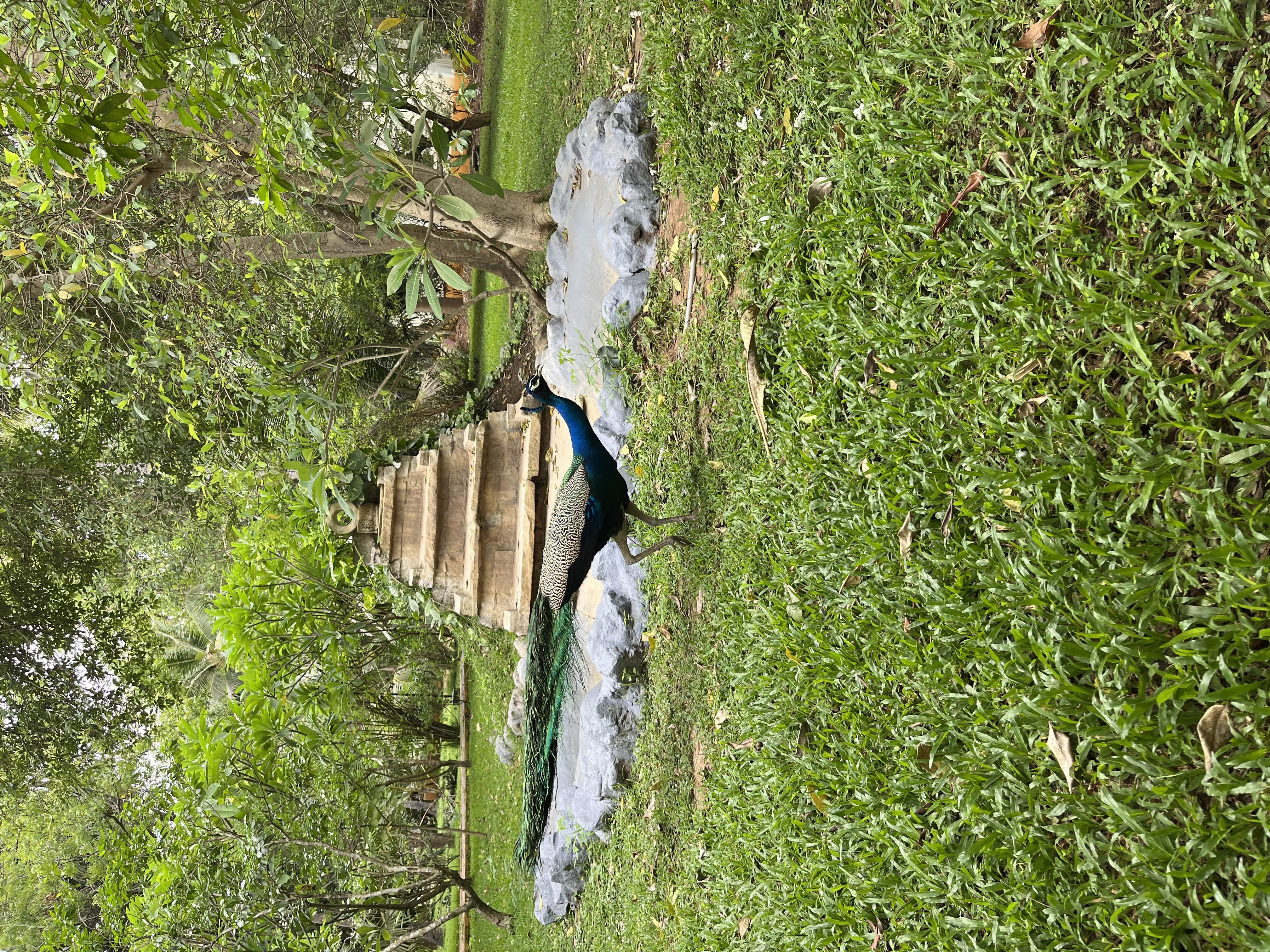 user photos