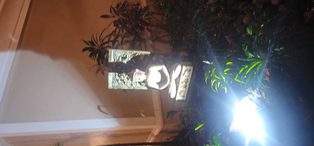 user photos
