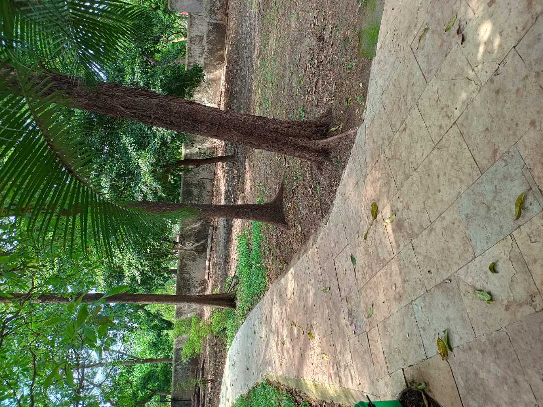 user photos