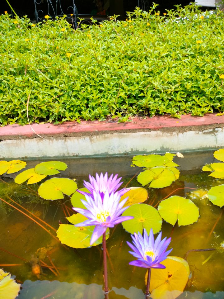 Arshinagar Shipogram Mudhouse and Cottages - Traveller Photo