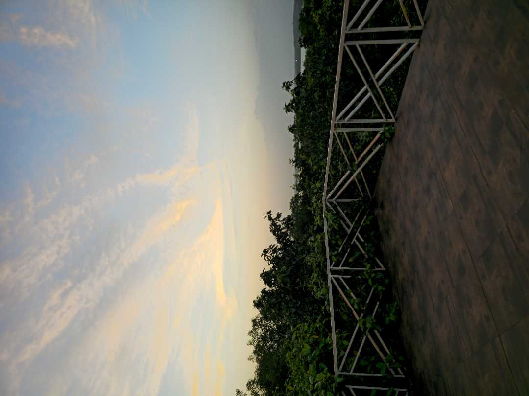 user photos