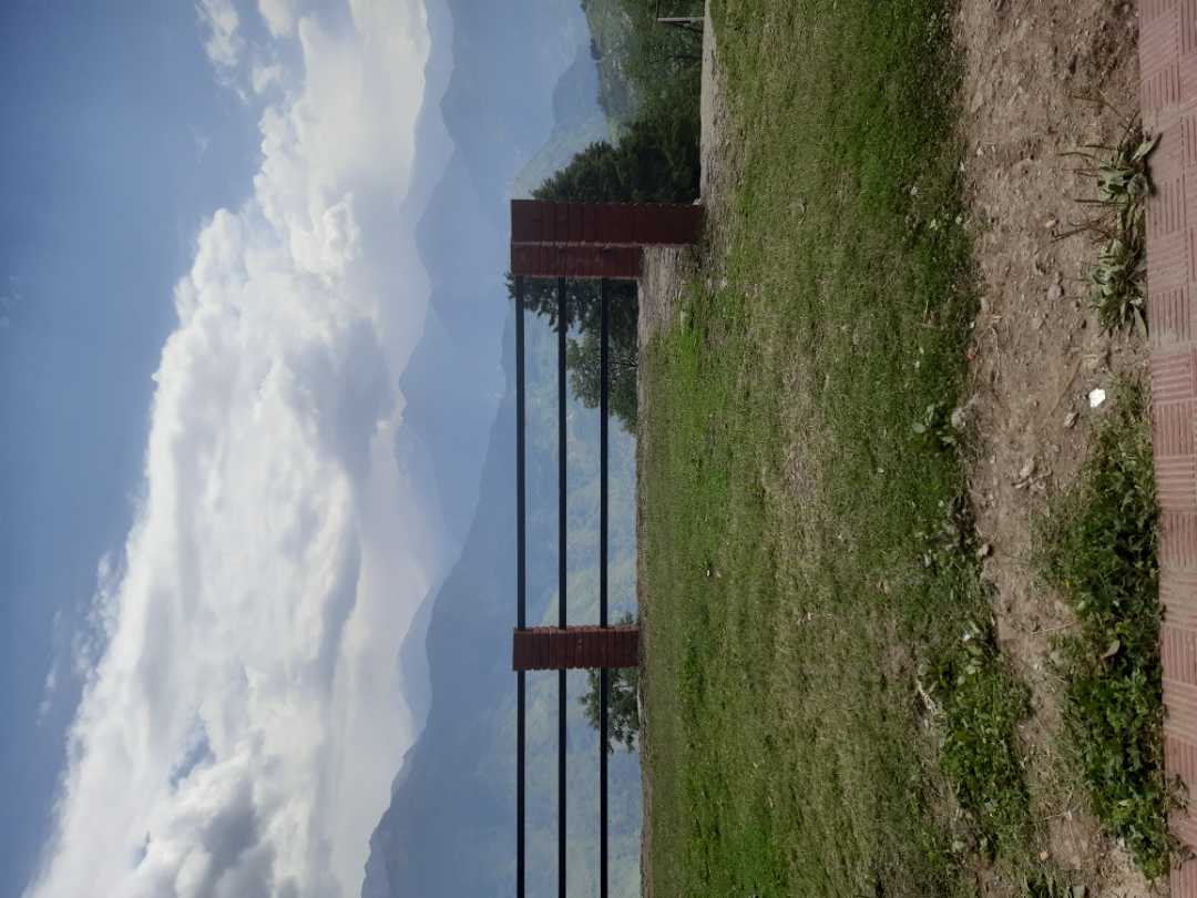 user photos