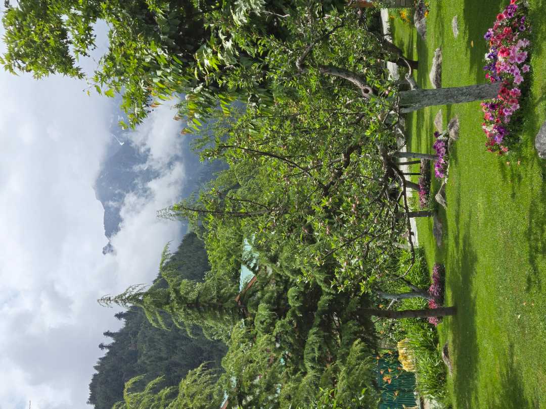 user photos