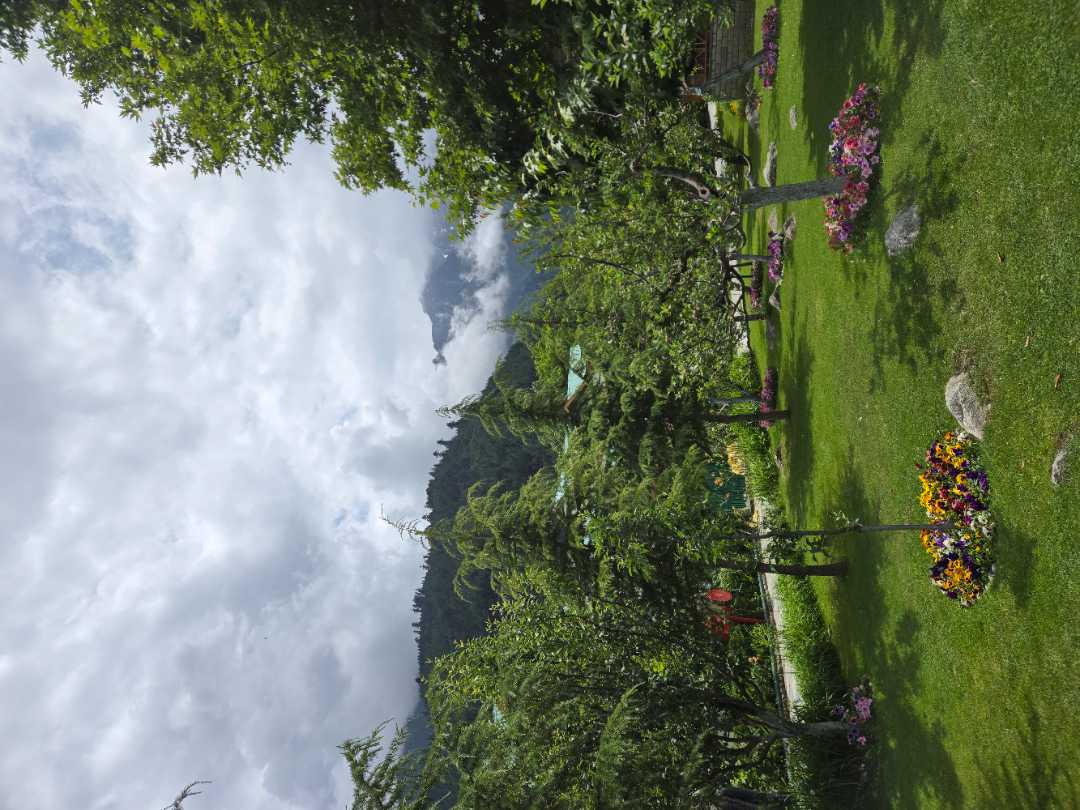 user photos