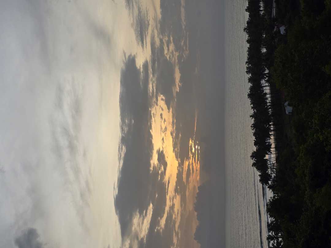 user photos