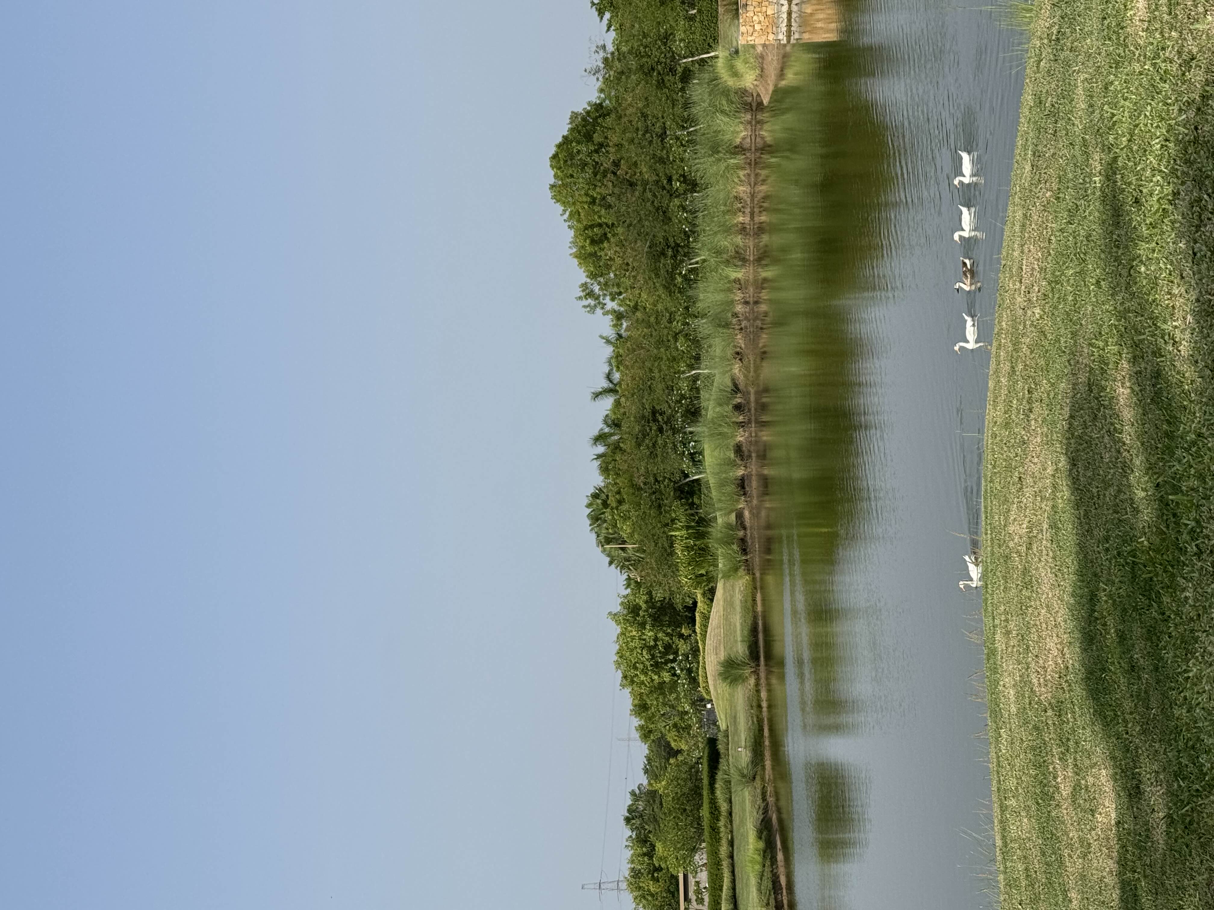 user photos