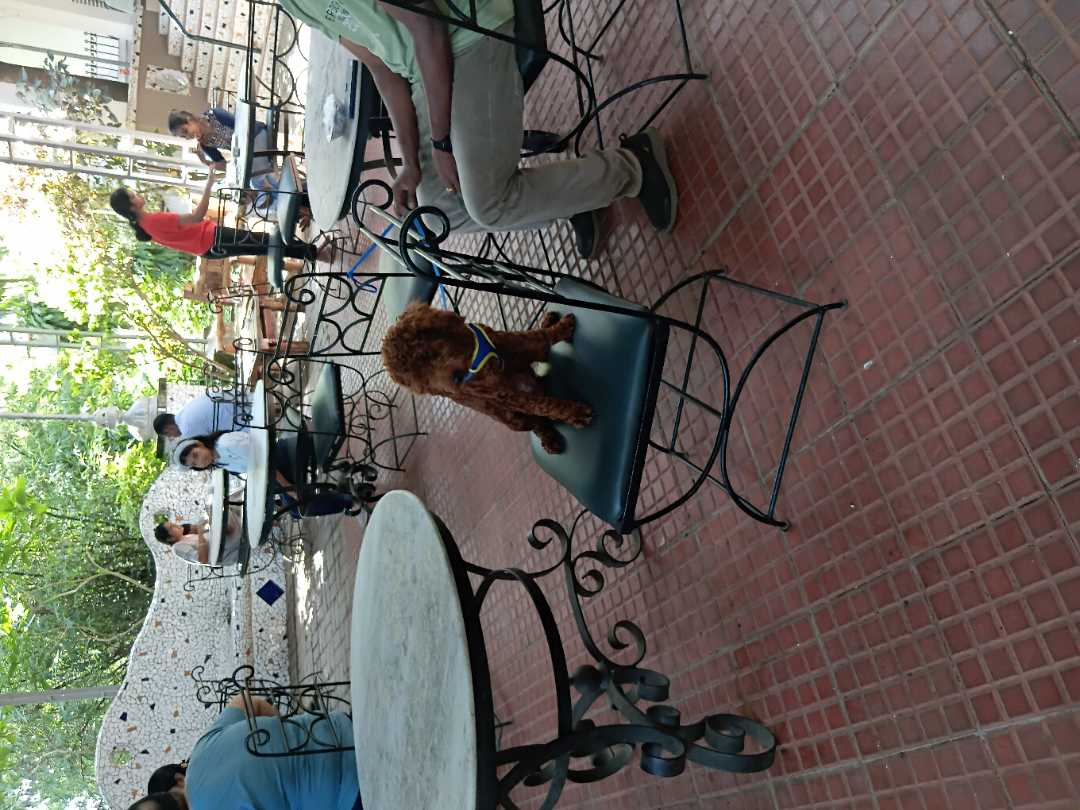 user photos