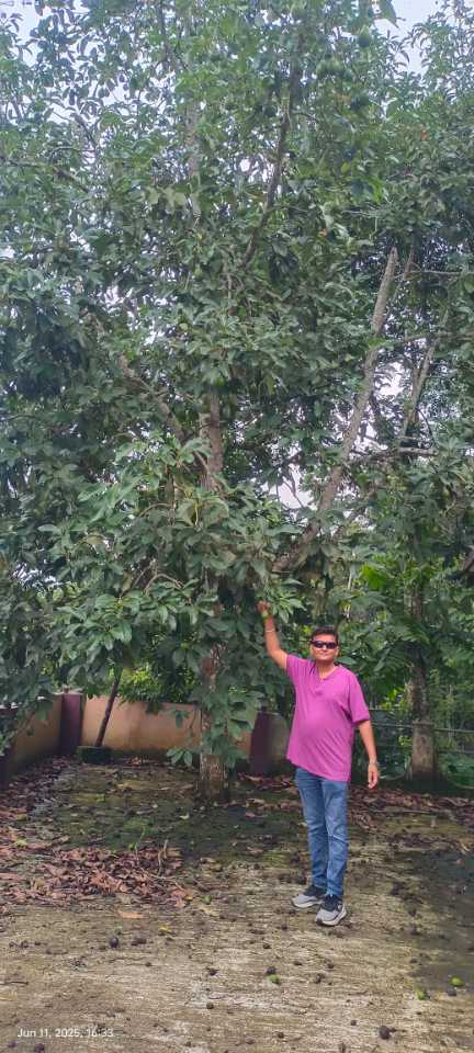user photos