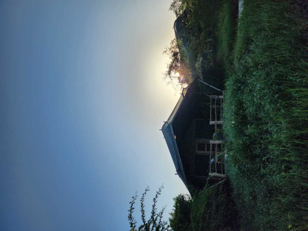 user photos