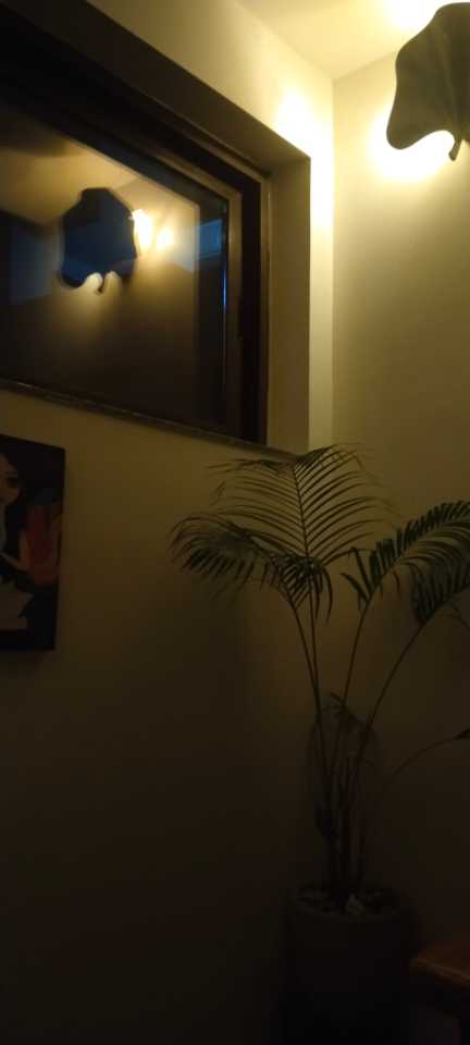 user photos
