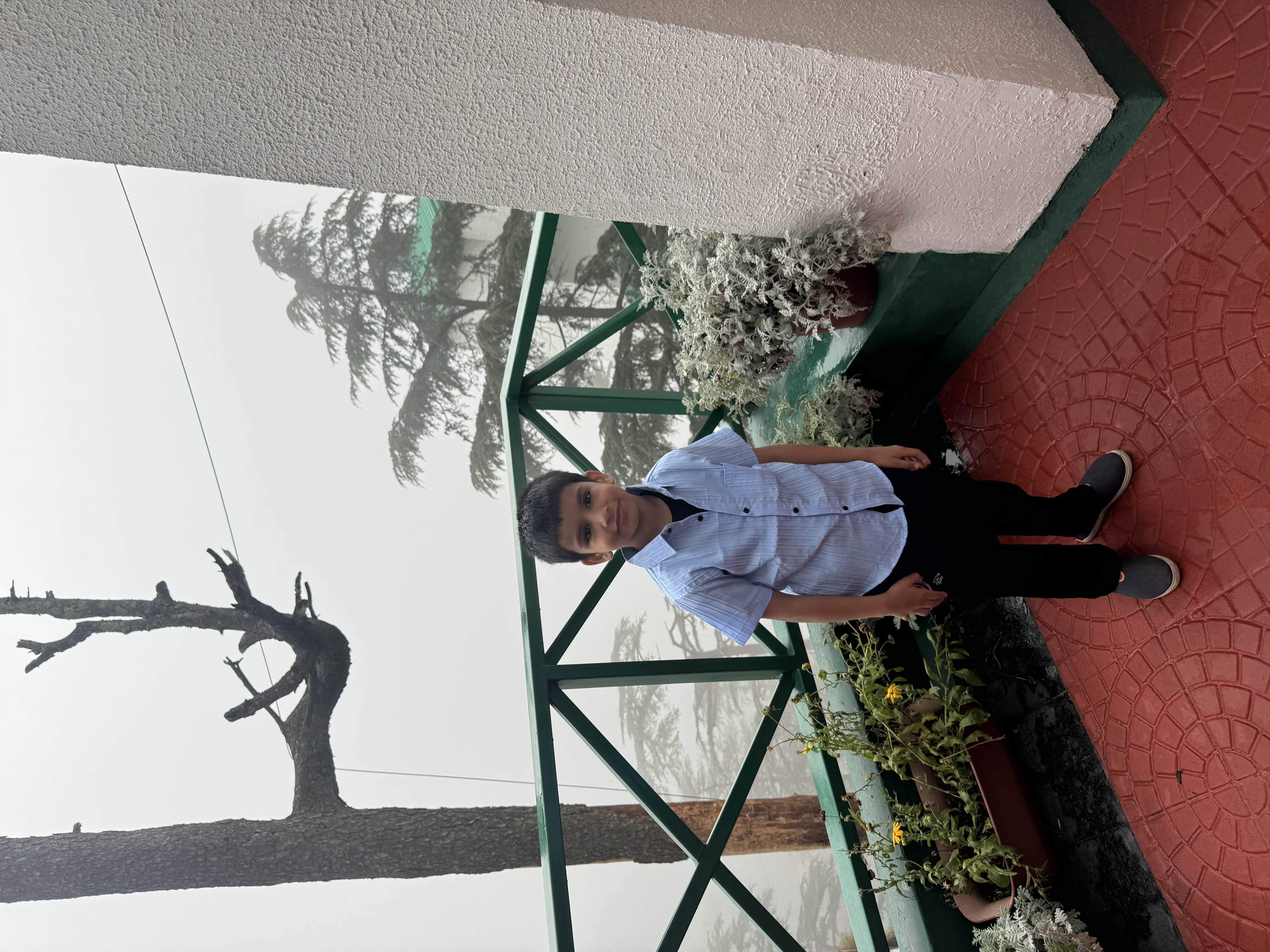 user photos