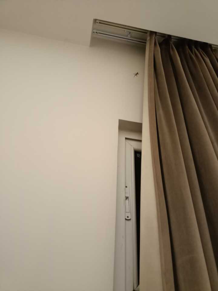 user photos