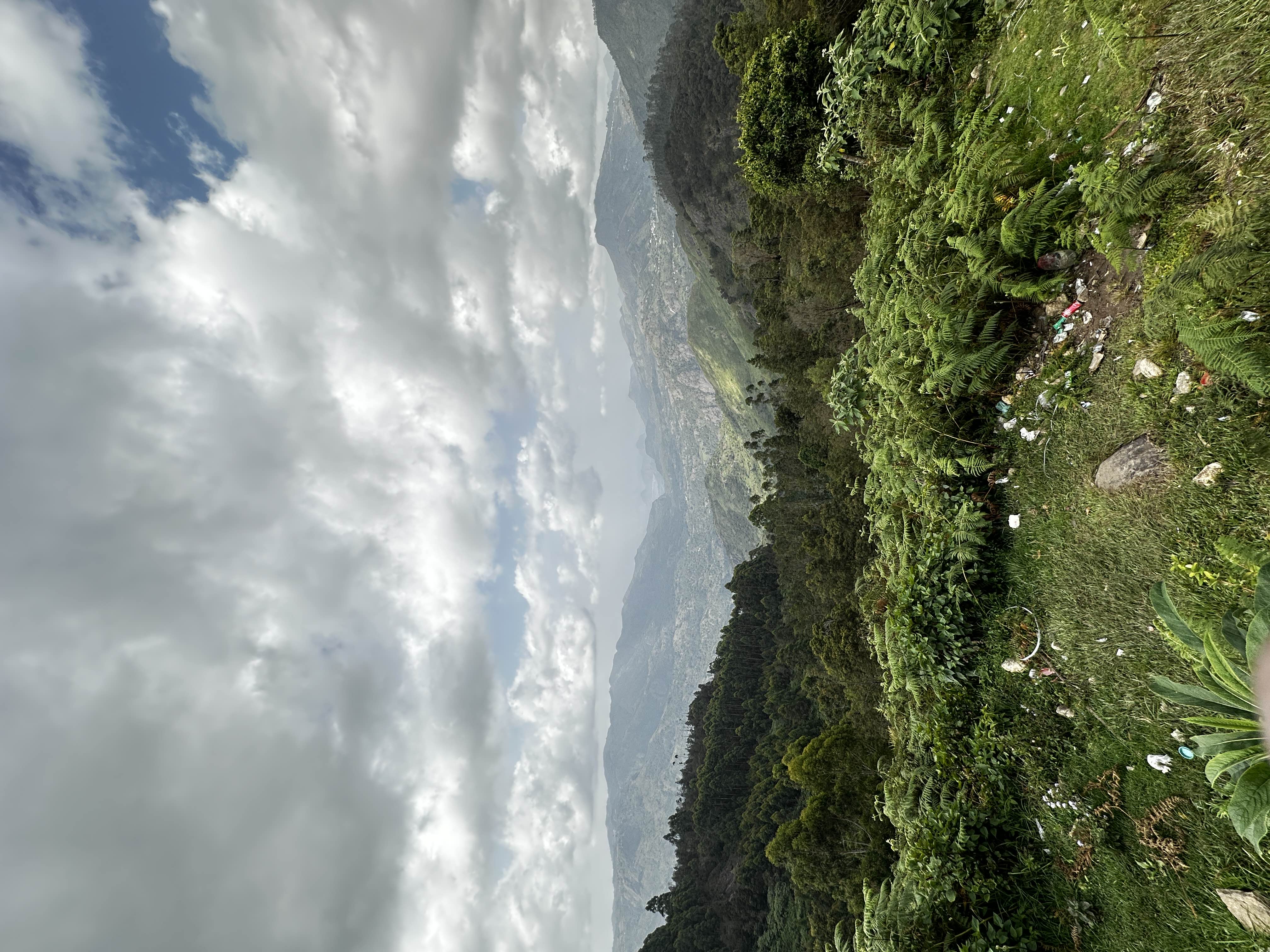 user photos
