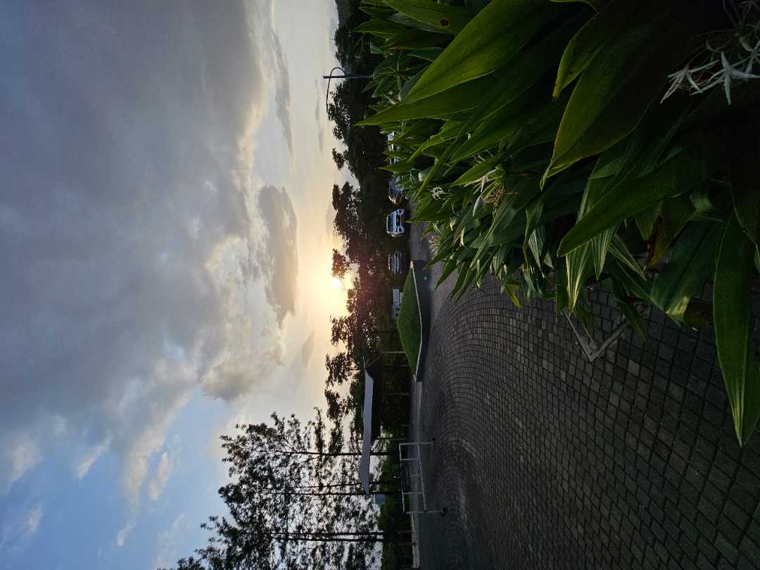 user photos