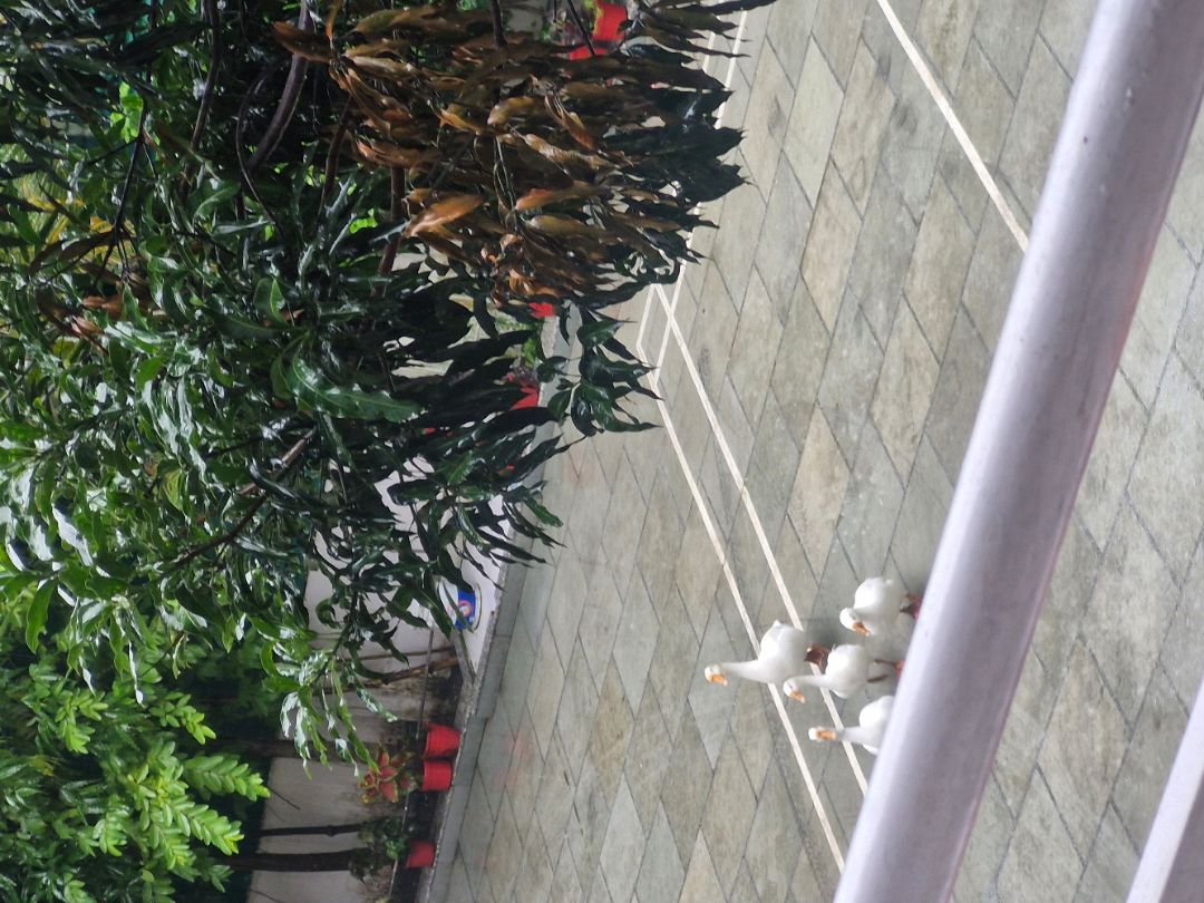 Nirupamratan Homestay Close by ISBT - Traveller Photo