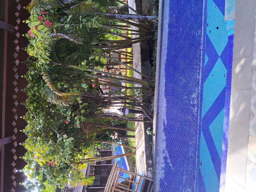 user photos