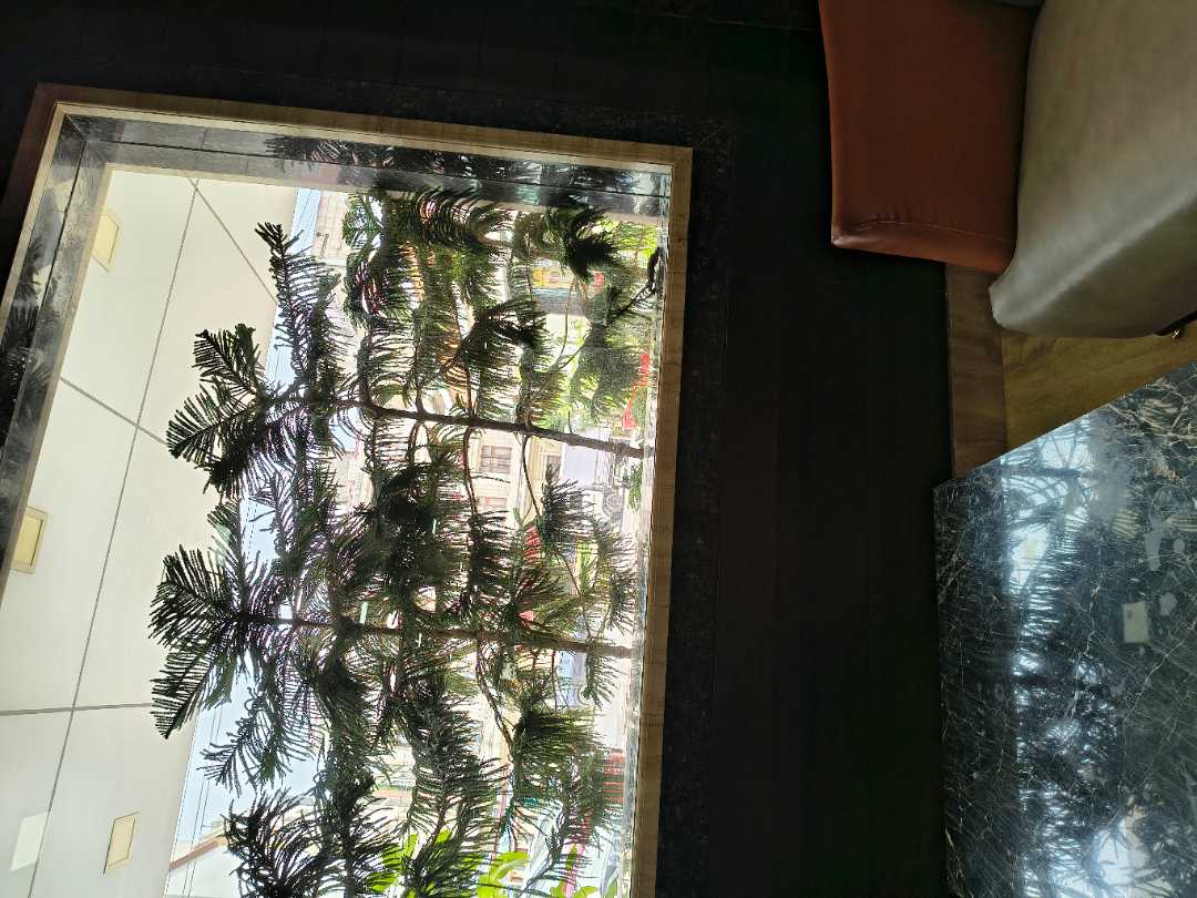 user photos