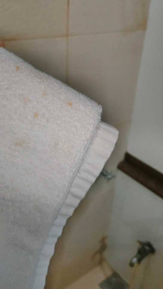 user photos