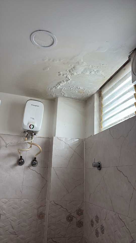 user photos