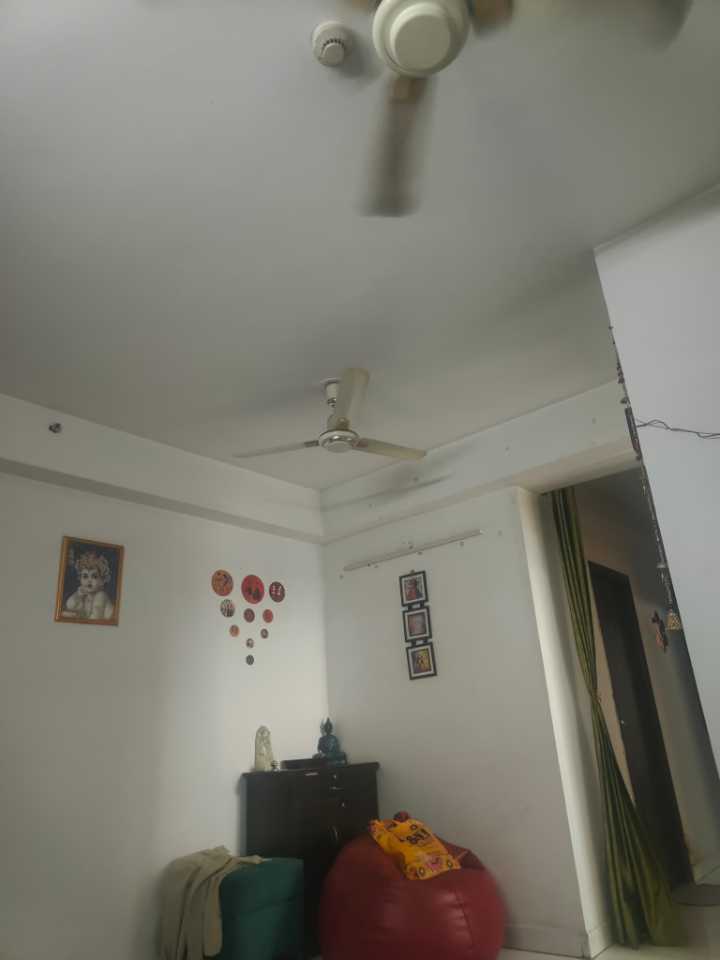 user photos