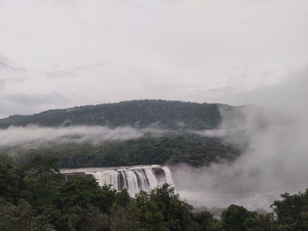 Flora Misty Falls Athirappilly - Traveller Photo