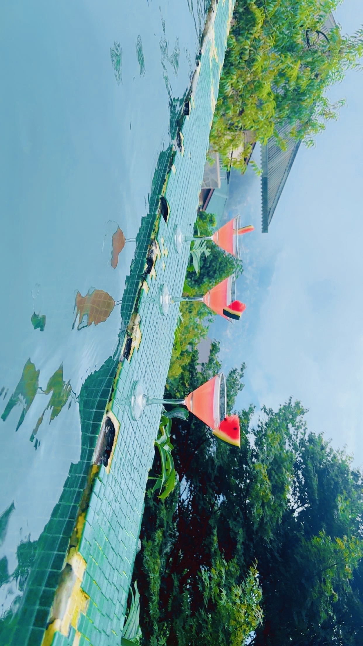 Summit North Star Hotel (with Swimming Pool) - Traveller Photo