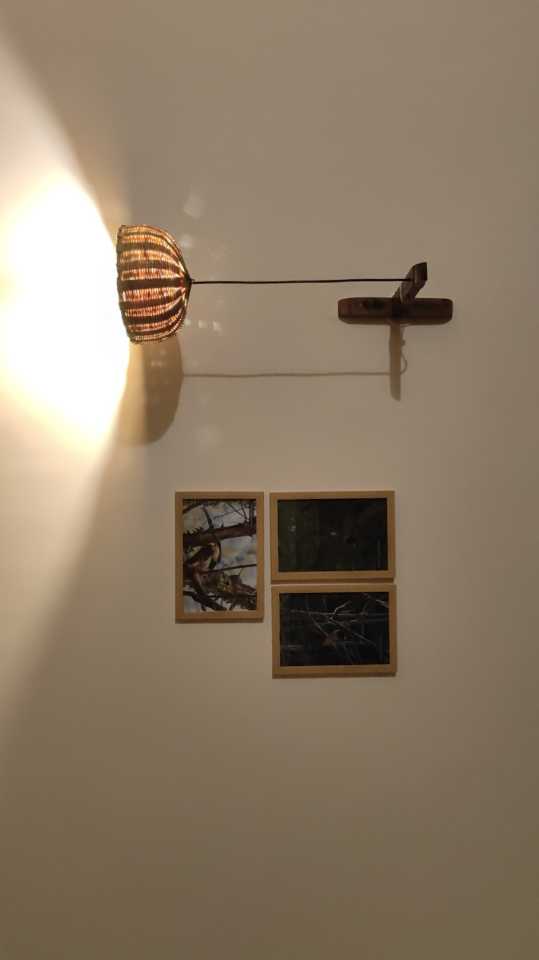 user photos