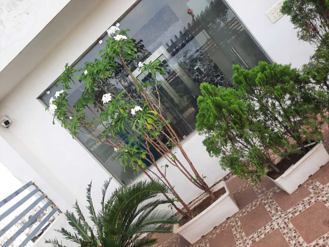 user photos