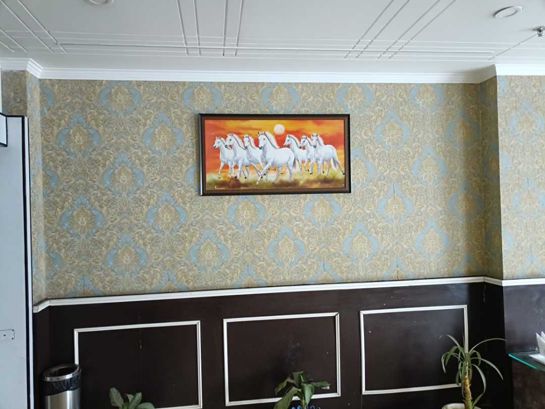 user photos