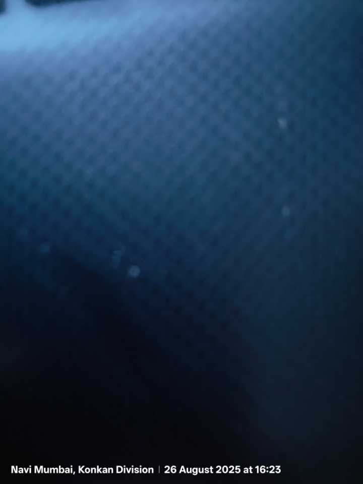 user photos