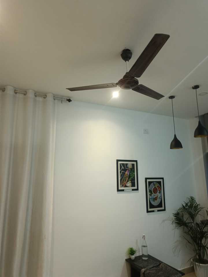 user photos