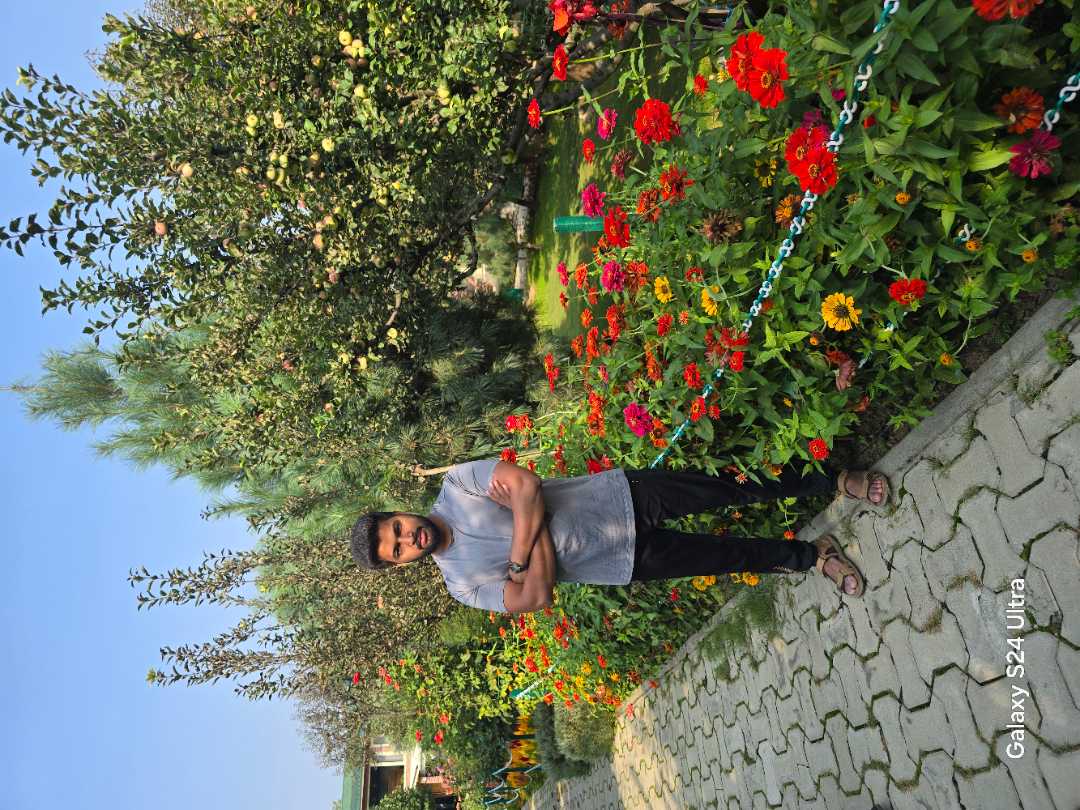 user photos