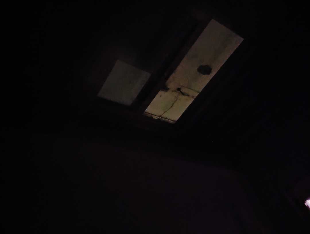 user photos