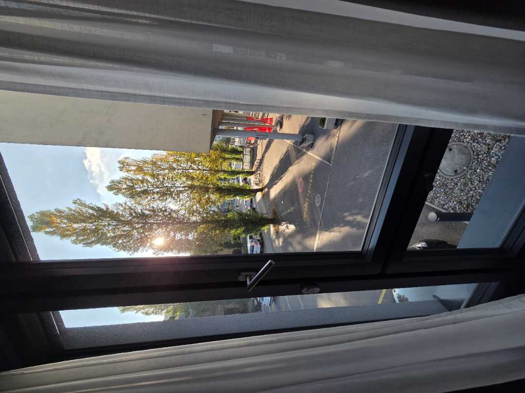 user photos